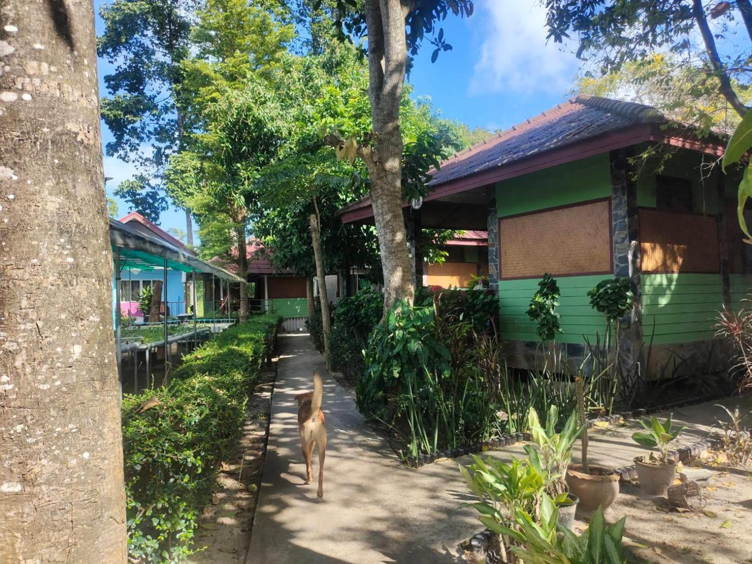 Everest Resort Samui - Sha Plus Mae Nam Exterior foto